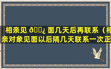 相亲见 🌿 面几天后再联系（相亲对象见面以后隔几天联系一次正常吗）